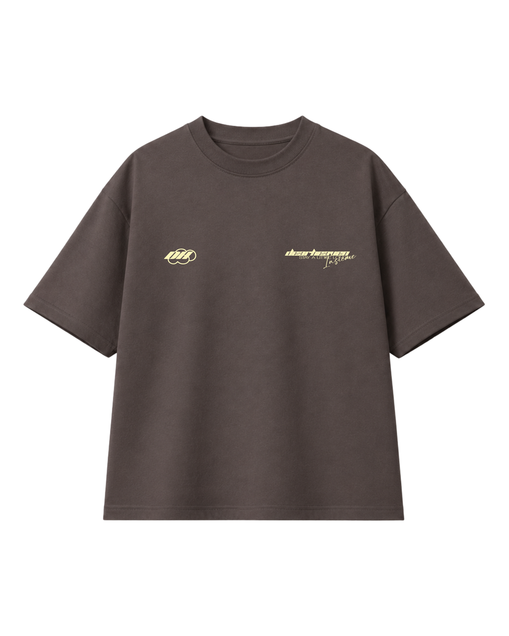 PAG 08 CAMISETA GRIS