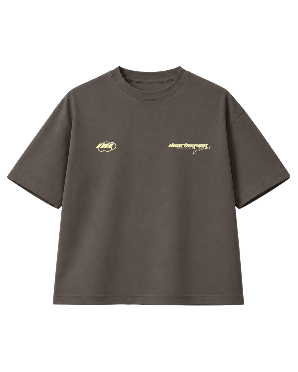 PAG 07 CAMISETA GRIS