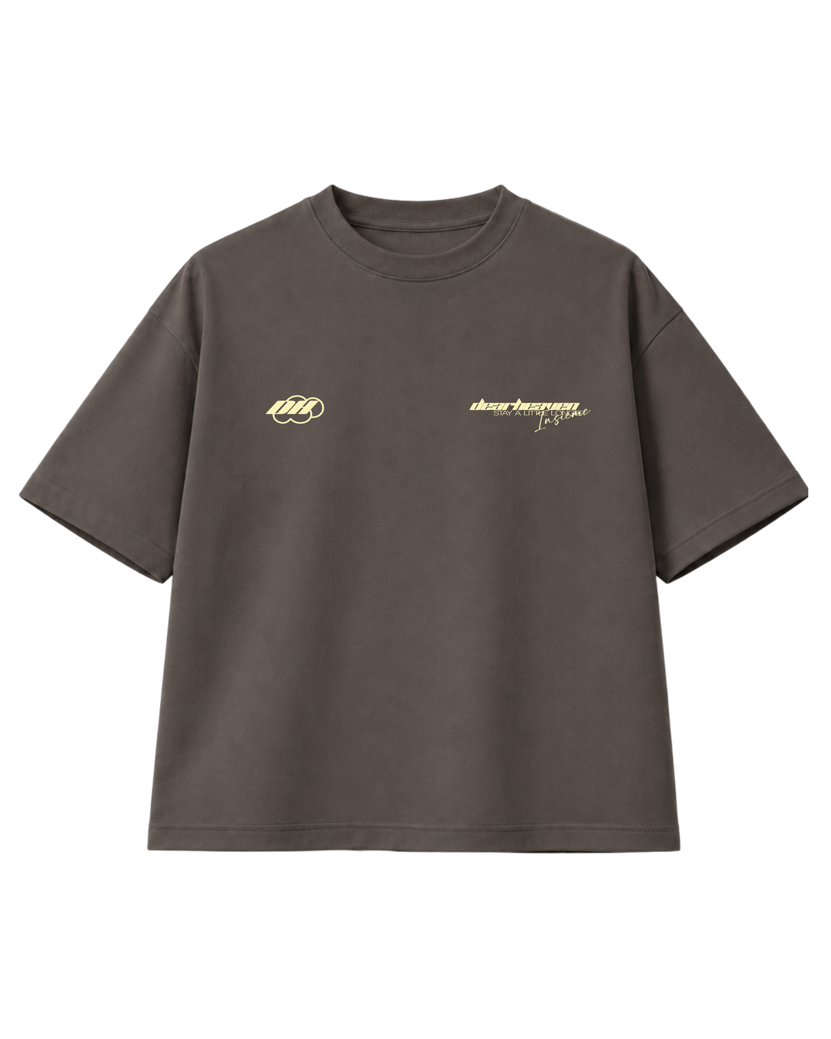 PAG 07 CAMISETA GRIS