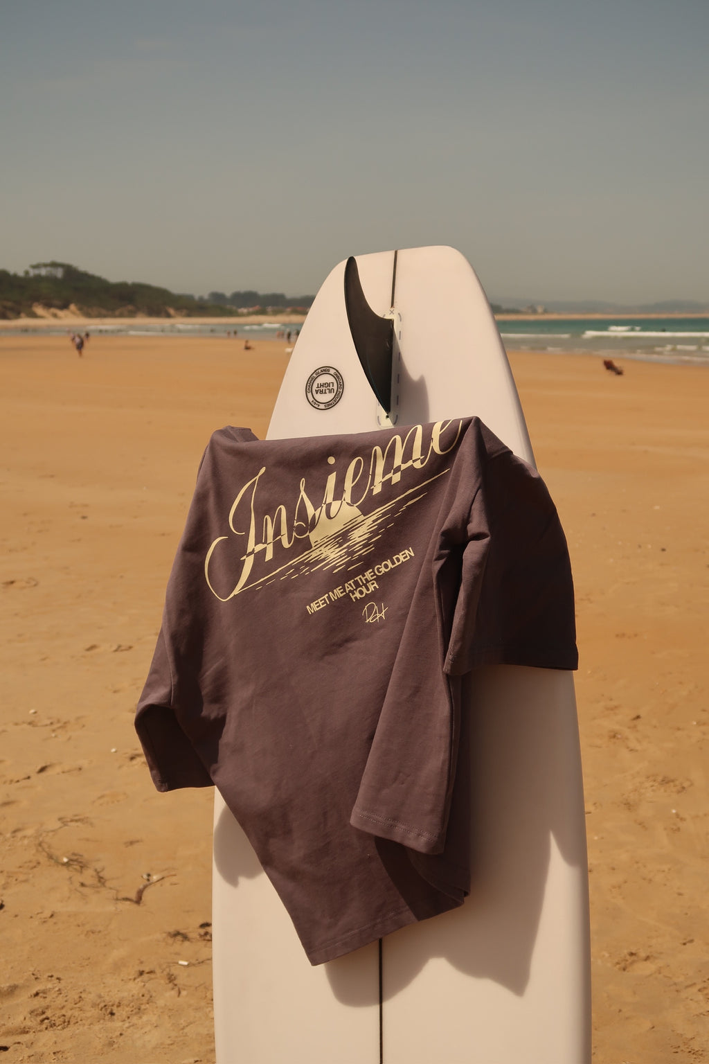 PAG 08 CAMISETA GRIS